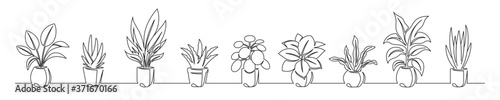 Set of continuous line drawing of a flowers in a pots