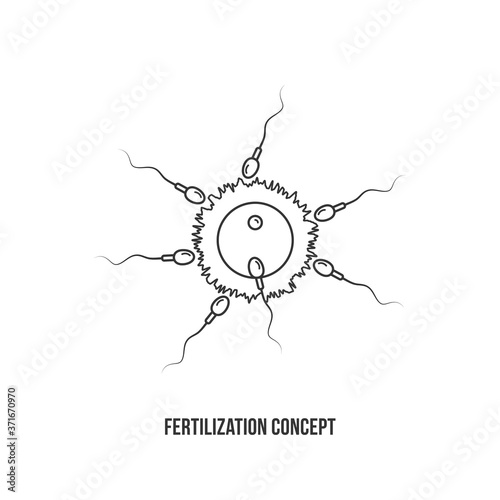 Fertilization process illustration with thin line icon design. Concept of interaction of sperm and ovum.