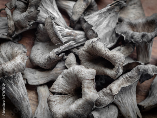 Wild and fresh black chanterelle mushroom also known as a horn of plenty is a delicious fungi and is a perfect ingredient for mediterranean cuisine. Raw black trumpet on a wooden board as a background