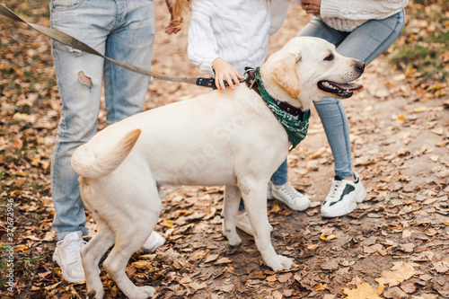 Happy beautiful family with dog labrador is having fun together walking the in park. © zadorozhna