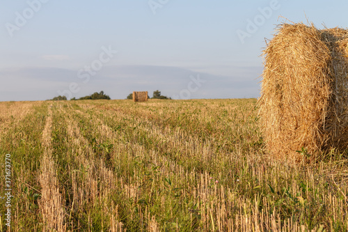 Tableau sur toile a fragment of round straw haystack roll stringed and a roll in the background on the field