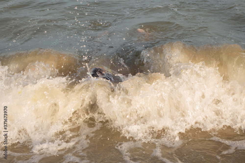 Obraz premium A 10-year-old boy is swimming and having fun in the sea near the shore in green swimming goggles.