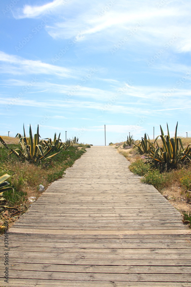 Wooden path to the Costa da Caparica Beach, near Lisbon, Portugal.