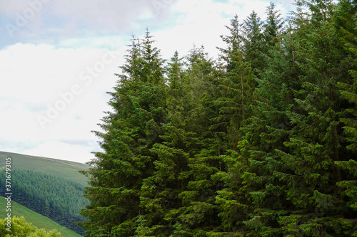 Ireland Nature, Sea and Landscape