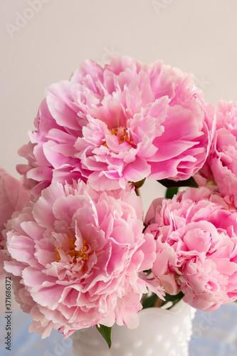 Fototapeta Naklejka Na Ścianę i Meble -  Pink Peonies
