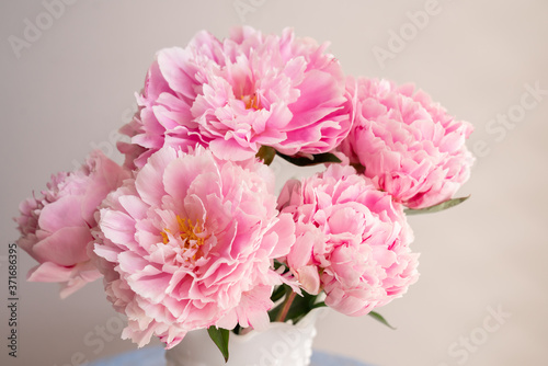 Fototapeta Naklejka Na Ścianę i Meble -  Pink Peonies