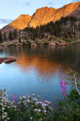 Fototapeta Naklejka Na Ścianę i Meble -  The devils castle reflecting in cecret lake with fireweed flowers in the foreground, Albion basin Utah.