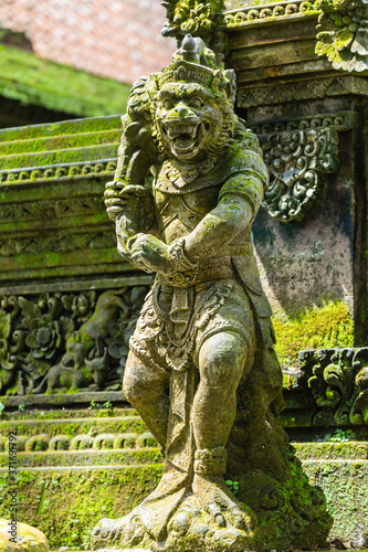 Ubud on the isle of Bali in Indonesia, the town is famous for the monks forest