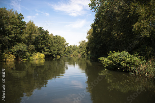 Views of the River Bure between Wroxham and Coltishall  The Broads  Norfolk  UK