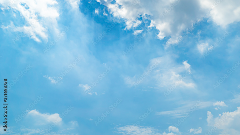 Fototapeta premium 青空・雲