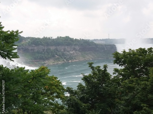 Árboles en Niágara