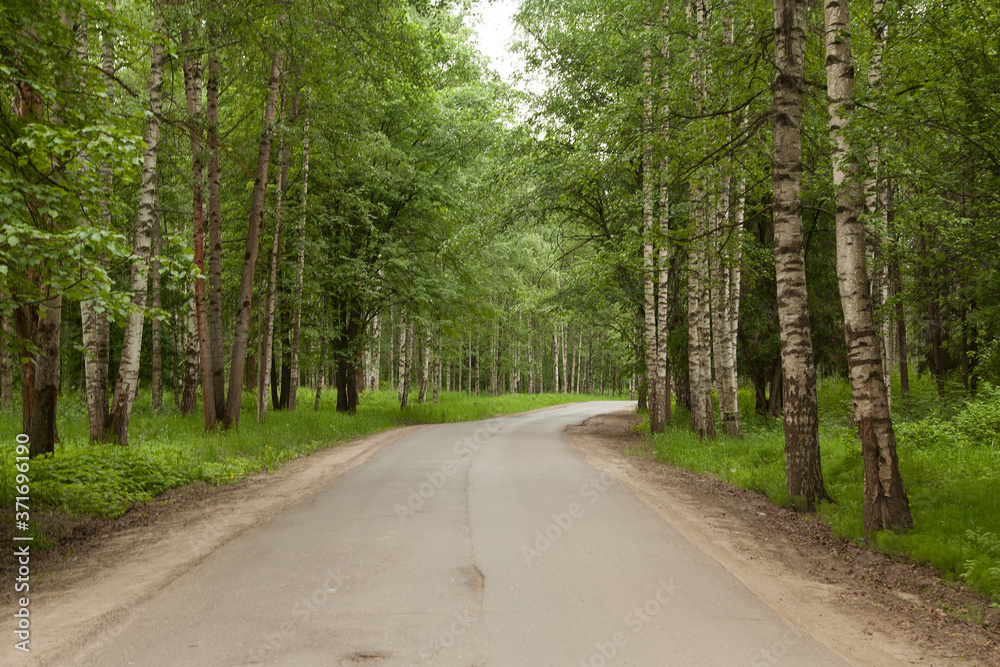 Obraz premium Empty asphalt road in spring park