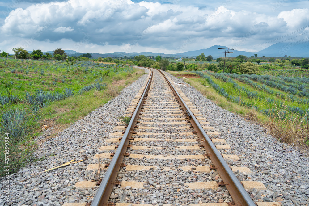 El agave está a los lados de la vía del tren en el pueblo mágico de Tequila Jalisco. El agave está a los lados de la vía del tren en el pueblo mágico de Tequila Jalisco.