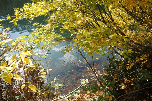 An amazing autumn season landscape of Japanese mountains, Nagano, Japan, national nature park