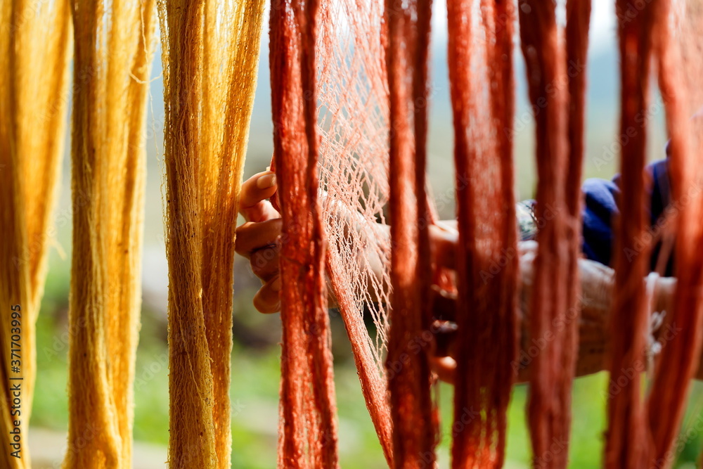 Photo & Art Print Cotton line dyeing with natural colors,Yarn, raw