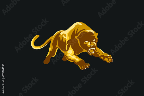 Aggressive Golden Panther attacking the prey