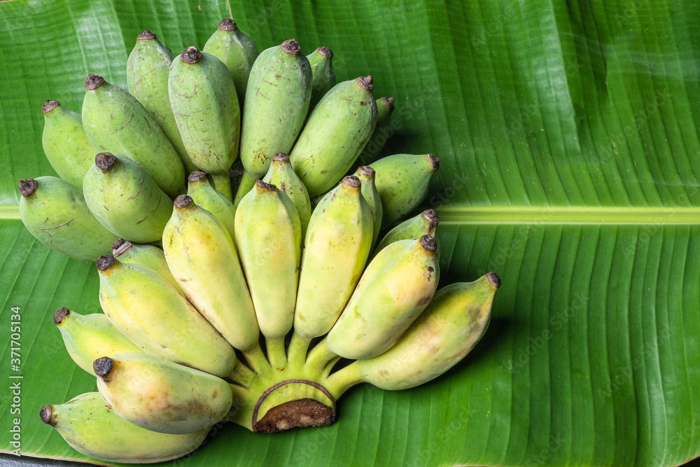 Thai cultivated banana raw on banana leaves