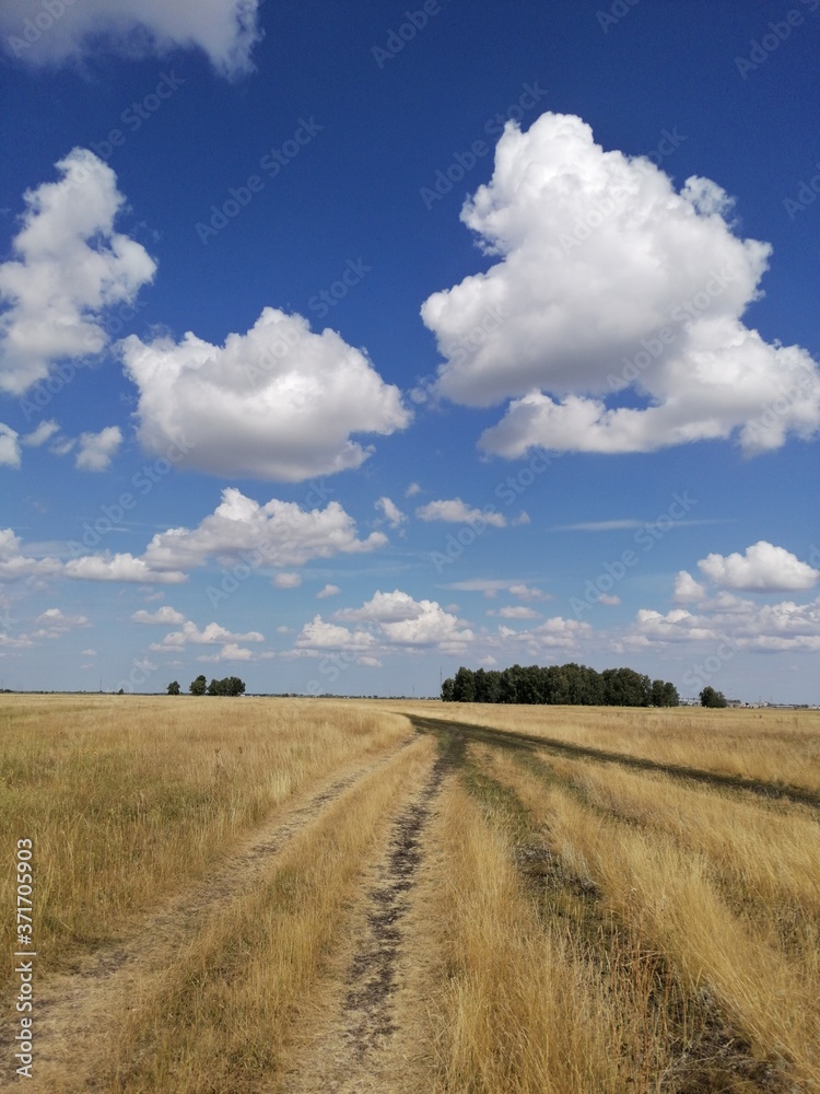 road to the steppe
