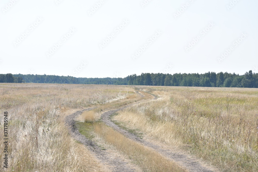 road to the steppe