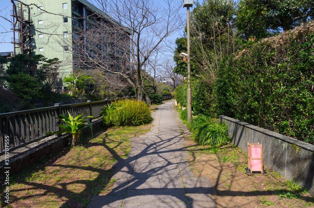 Fototapeta premium 伊東市の松川遊歩道