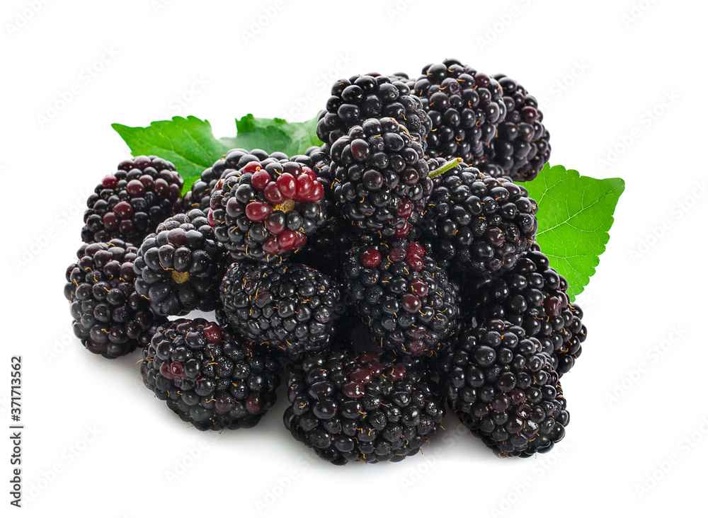 fresh blackberries. Isolated on white background fresh blackberries. Isolated on white background