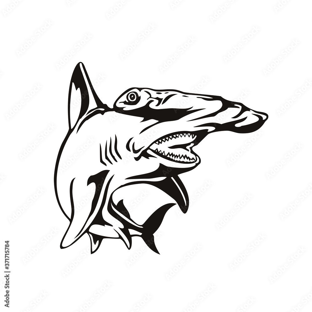 Scalloped Hammerhead Shark or Sphyrna Lewini Front View Retro Woodcut Black and White Scalloped Hammerhead Shark or Sphyrna Lewini Front View Retro Woodcut Black and White
