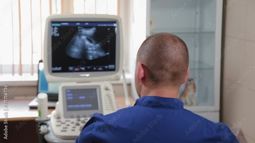 Doctor man doing ultrasound at the medical center. Doctor man doing ultrasound at the medical center.