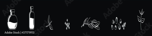 sketch, vector illustration of jojoba bottle and oil elements with various models isolated on black background