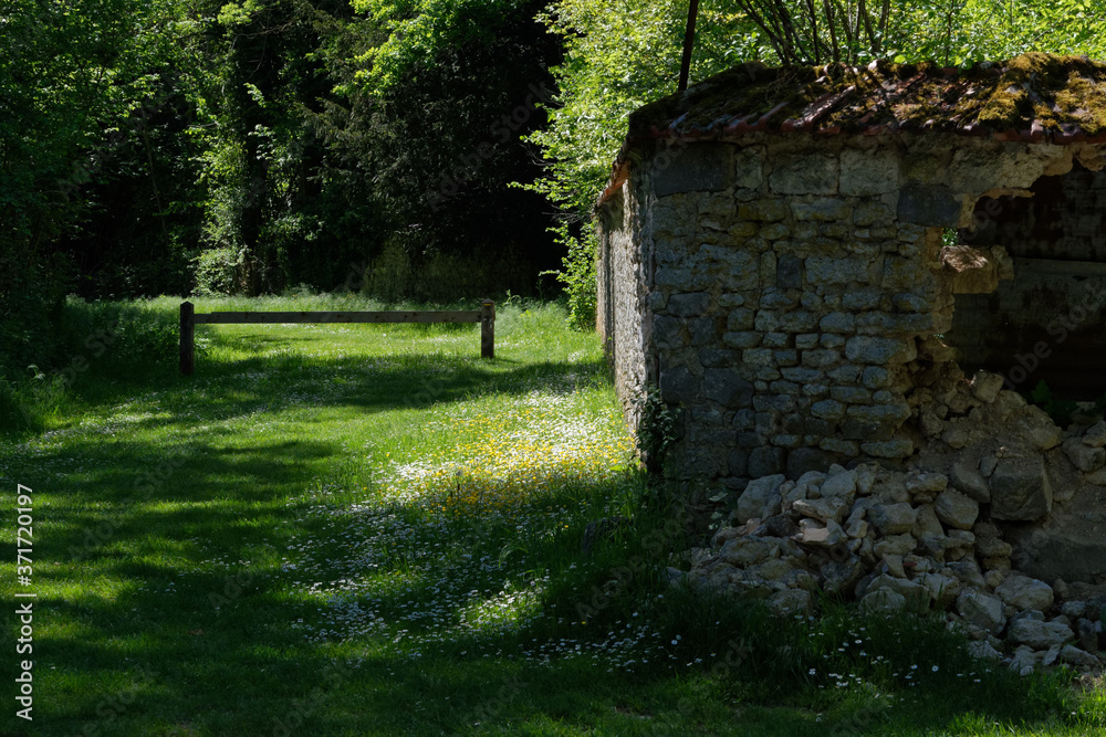 Ruines Ruines