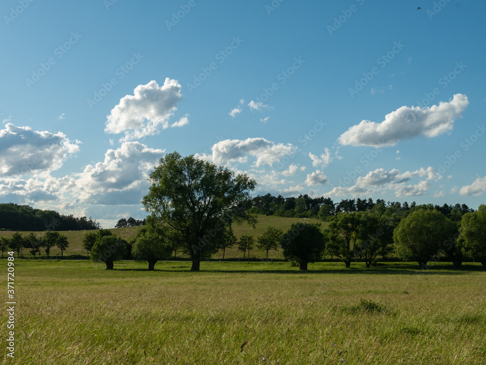 Landschaft im Sommer