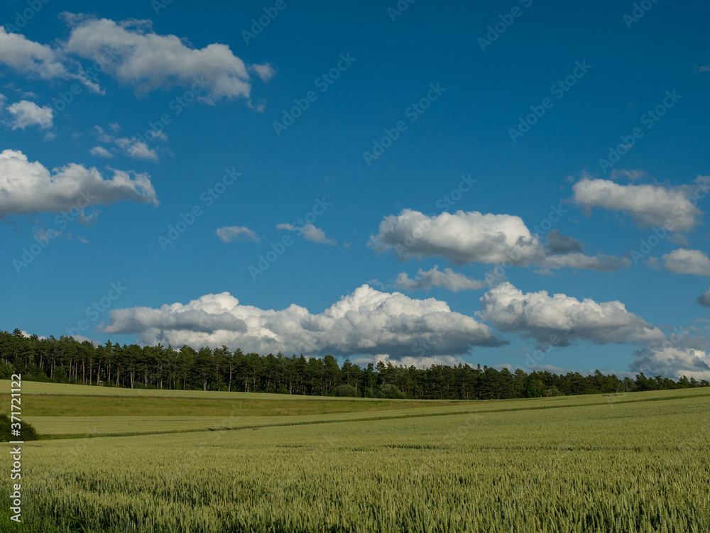 Obraz premium Landschaft im Sommer