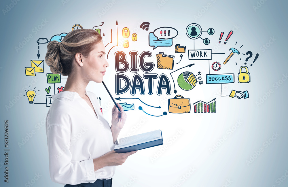 Businesswoman with notebook, big data sketch Businesswoman with notebook, big data sketch