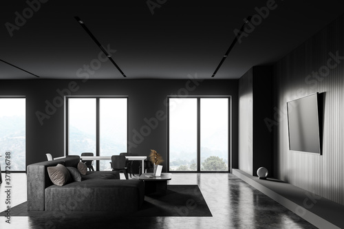 Grey kitchen and living room interior