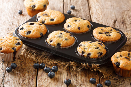 Rustic blueberry muffins close-up in a baking dish on the table. horizontal
