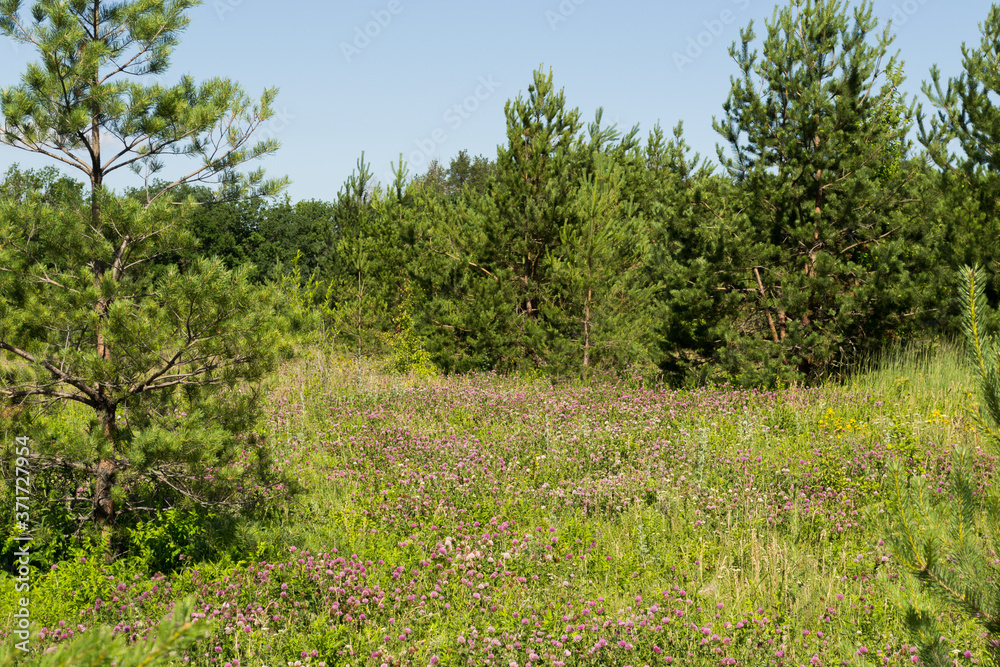 Landscape images of nature near the village of Cheremukhovo, Samara region Landscape images of nature near the village of Cheremukhovo, Samara region