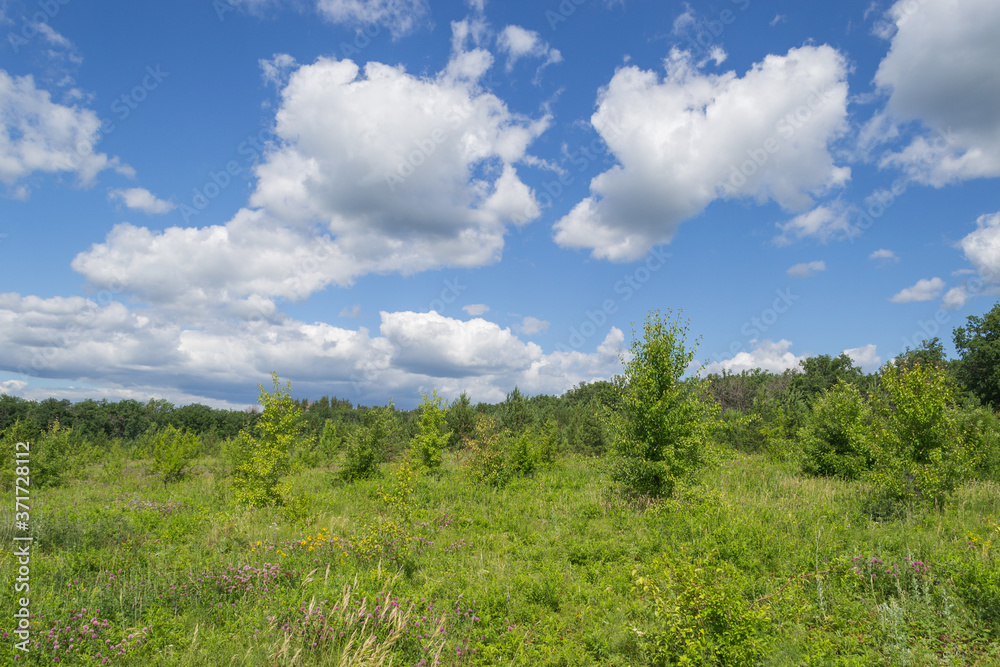 Landscape images of nature on a clear Sunny day near the village of Chekalino, Samara region Landscape images of nature on a clear Sunny day near the village of Chekalino, Samara region