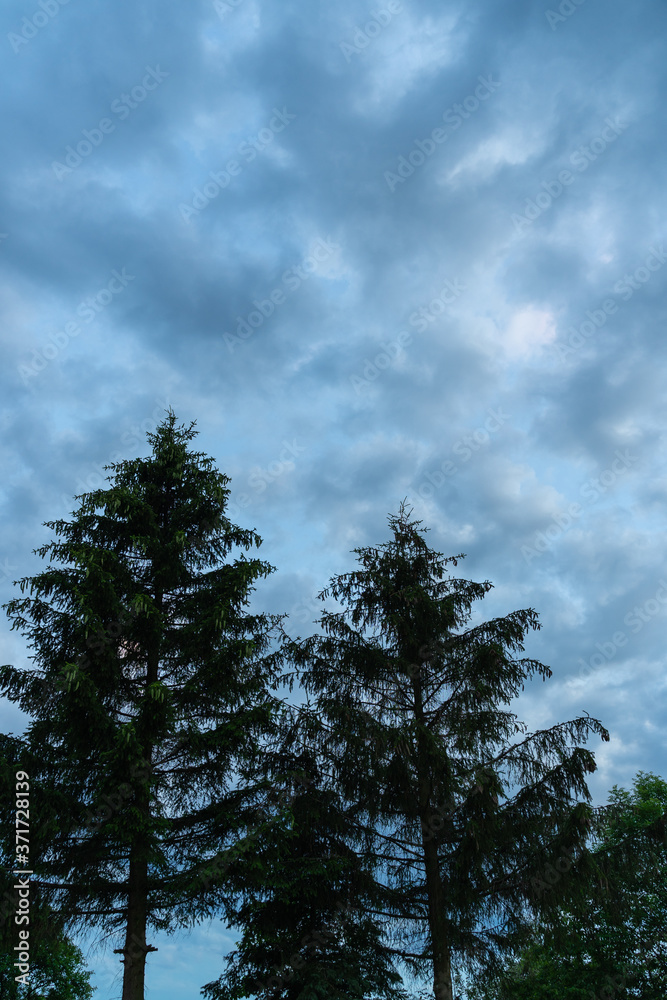 Fototapeta premium Landschaft im Sommer