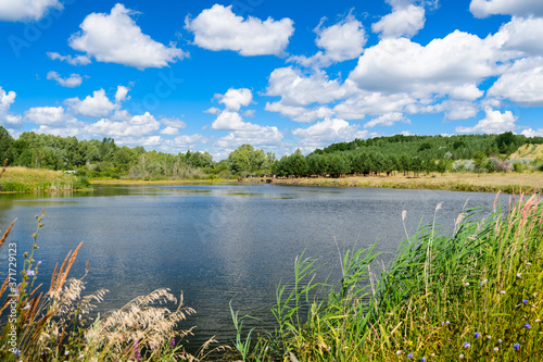 Landscape images of nature on a clear Sunny day near the village of Chekalino  Samara region