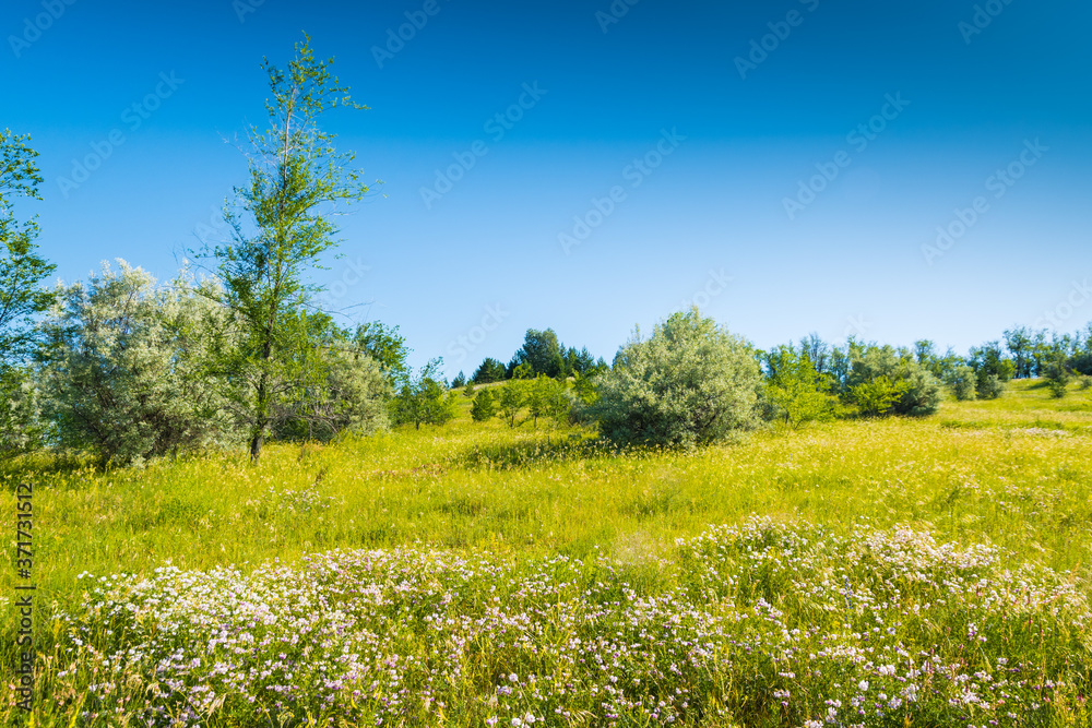 Landscape images of nature on a clear Sunny day near the village of Troitskoye, Samara region