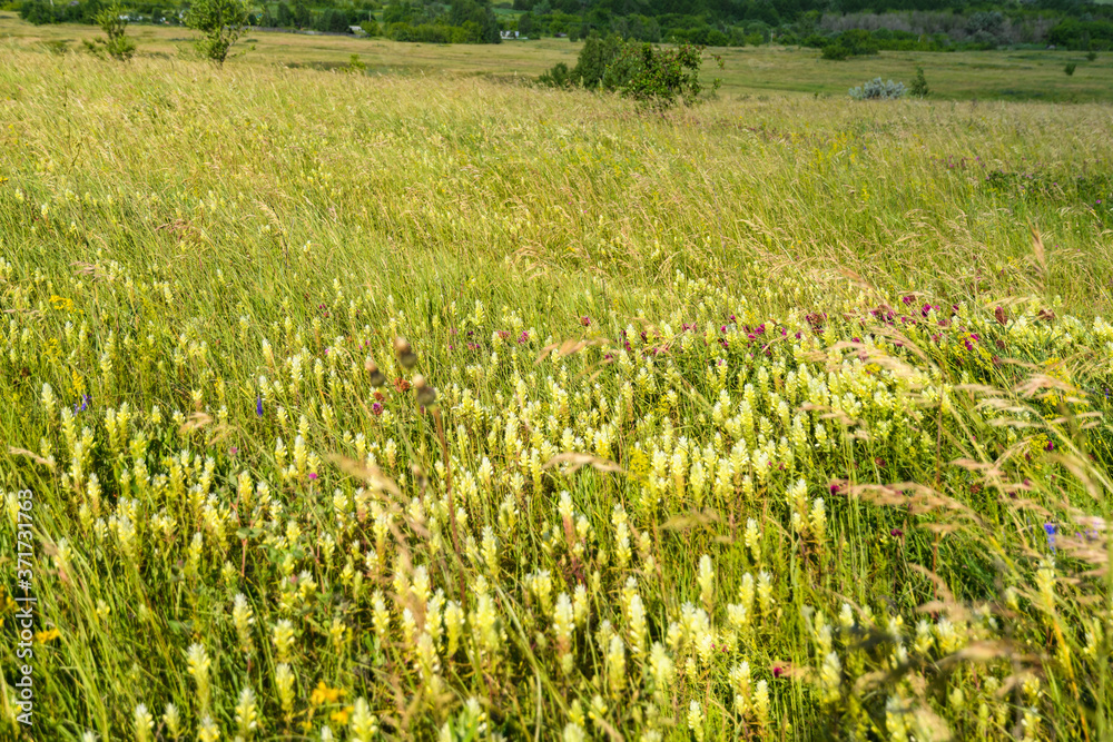 Landscape images of nature on a clear Sunny day near the village of Troitskoye, Samara region Landscape images of nature on a clear Sunny day near the village of Troitskoye, Samara region