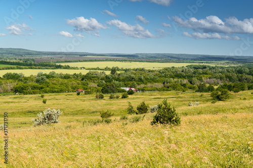 Landscape images of nature on a clear Sunny day near the village of Troitskoye  Samara region