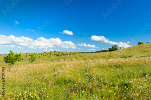 Landscape images of nature on a clear Sunny day near the village of Troitskoye  Samara region