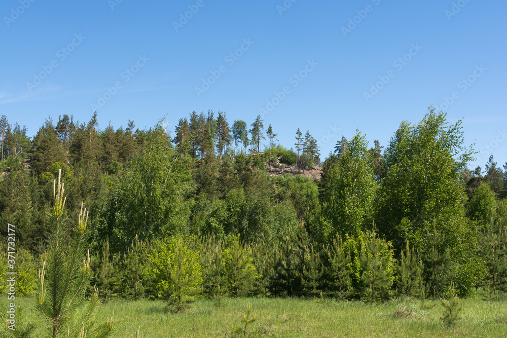 Landscape images of nature near the village of Cheremukhovo, Samara region Landscape images of nature near the village of Cheremukhovo, Samara region