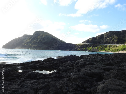 Hawaiian Coastal Landscape