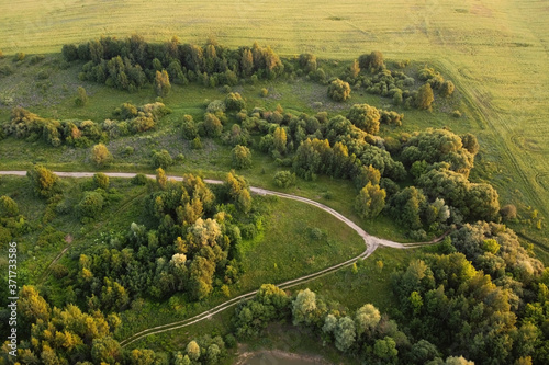 Aerial view of rural road between green field and forest.