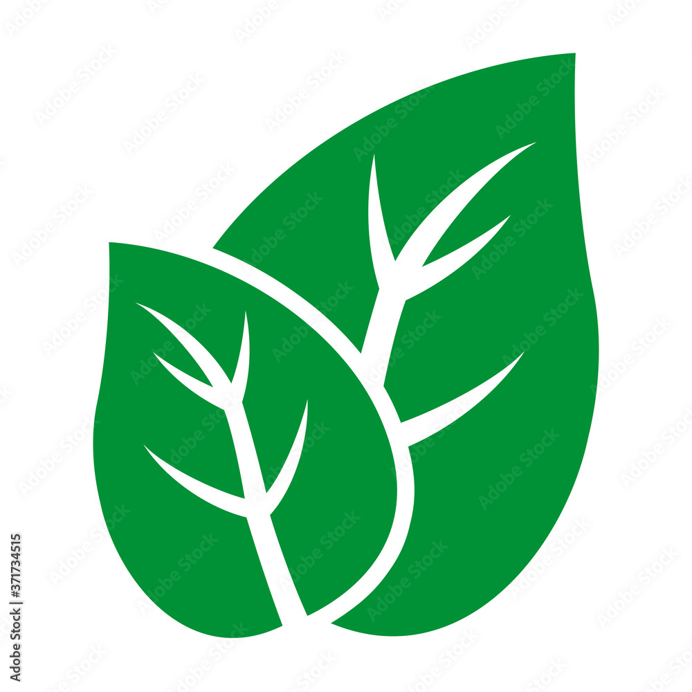 gz892 GrafikZeichnung - ecology / nature - eco sign - green leaf icon. - simple isolated template / logo - square xxl g9876 gz892 GrafikZeichnung - ecology / nature - eco sign - green leaf icon. - simple isolated template / logo - square xxl g9876