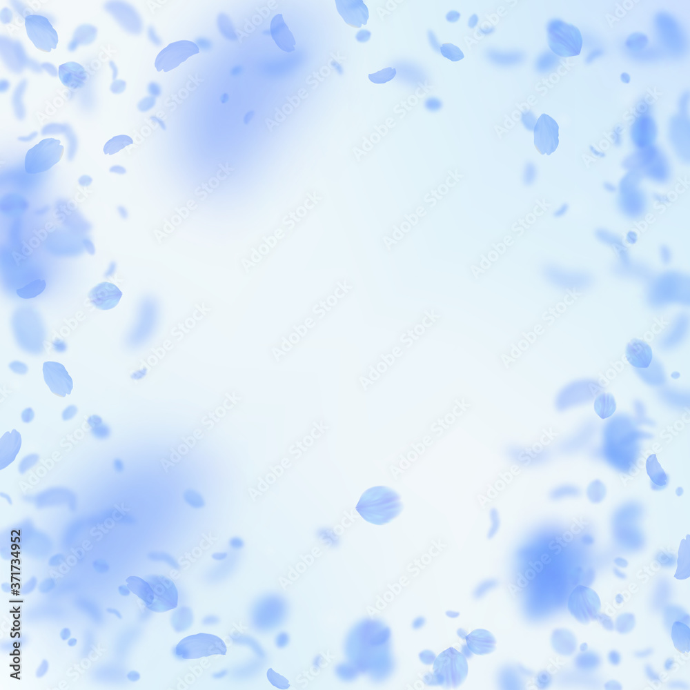 Dark blue flower petals falling down. Pleasing rom Dark blue flower petals falling down. Pleasing rom