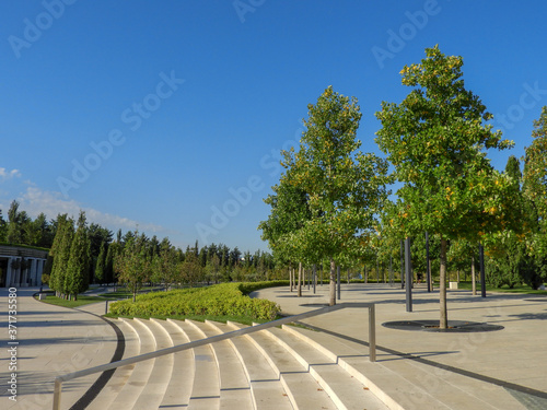 road in the park