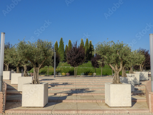 park in the park
