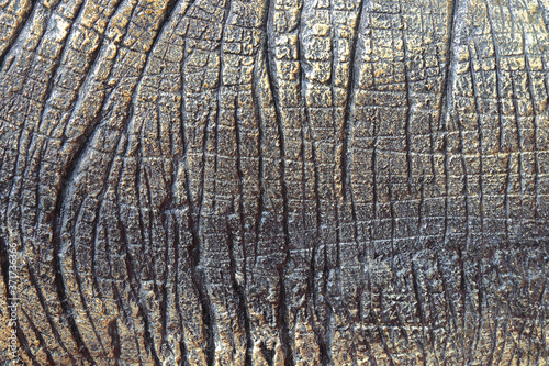 фотографія Detail of dinosaur thick animal skin texture
